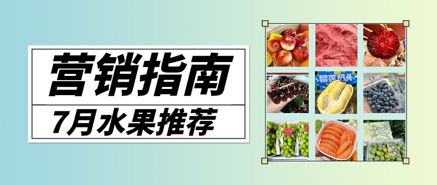 预览图